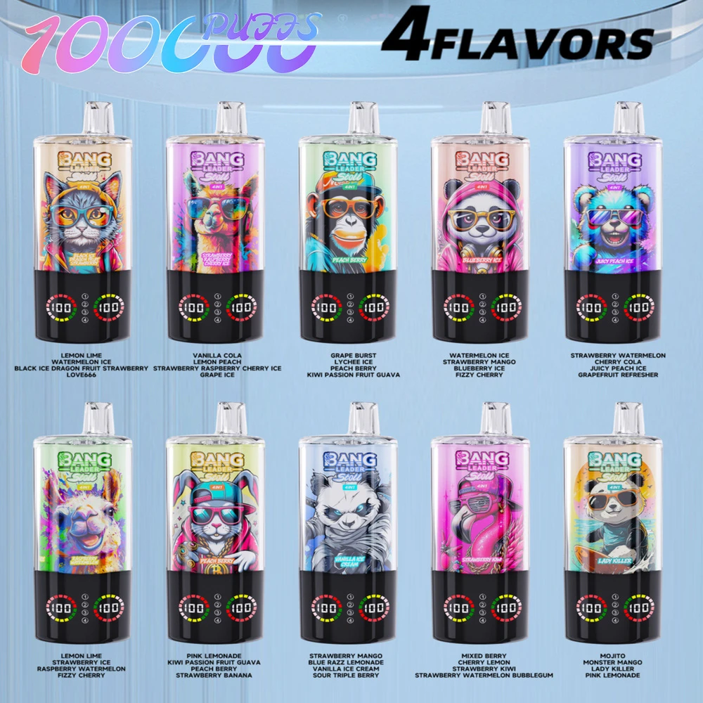 Bang Leader Stoll 100K 4-in-1 flavors lineup chart showing all available multi-flavor disposable vape options